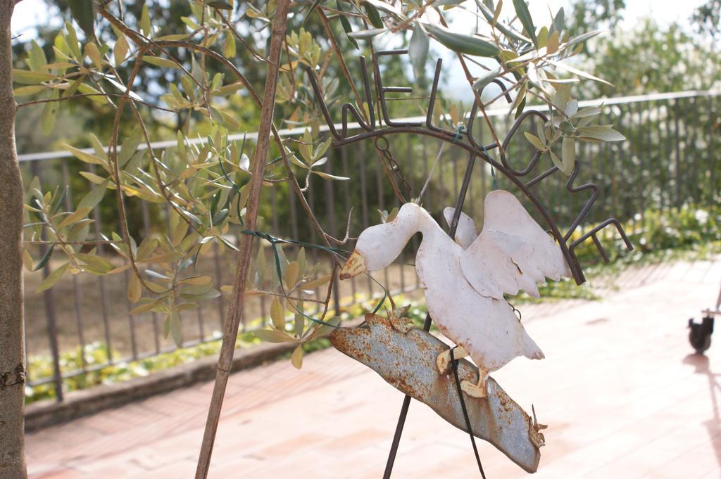 Bed and Breakfast Casa Lucia In Chianti Vagliagli Exterior foto